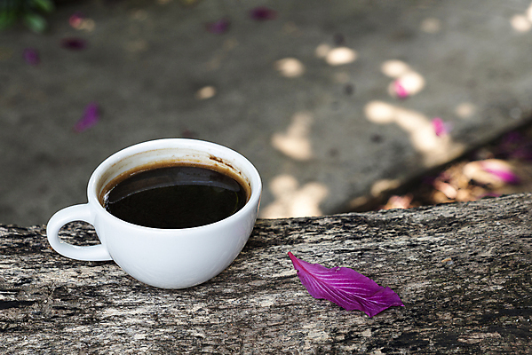 포토 JPG 해외이미지 꽃잎 꽃 커피 음료 음식 백그라운드 탁자 아침 사람없음 목재 컵 가로 갈색 검은색 침묵 거품 카페 머그컵 흰색 신선 뜨거움 도자기 액체 맛 아침식사 컵받침 오브젝트 상쾌 질감 아로마 슛 카푸치노 에스프레소 내추럴 백자 카페인 해외포토 주간 나무 식물 식기 감정 컬러 가구 컨셉 재료 상점 식사 소리 받침대 파일형식 이미지허브