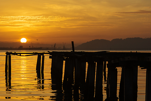 포토 JPG 해외이미지 실루엣 바다 자연 하늘 아침 휴식 풍경 사람없음 목재 물 여름 태양 일출 새벽 방파제 장면 해외포토 주간 자연요소 나무 계절 공공시설 컨셉 재료 촬영기법 노을 생태계 파일형식 이미지허브