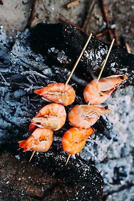 포토 JPG 해외이미지 새우 요리 사람없음 야외 캠핑 모닥불 굽기 꼬치구이 숯 해외포토 불 레저 갑각류 꼬치 구이 파일형식 이미지허브