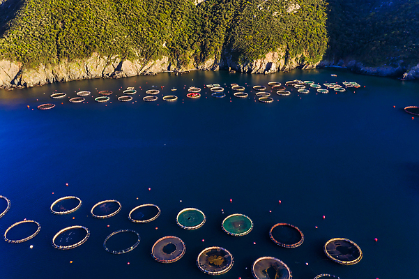 포토 JPG 해외이미지 식물 유럽 산업 음식 파도 바다 농업 비즈니스 자연 낚시 안테나 어류 사람없음 물 파란색 농장 환경 성장 신선 잡기 만 원형 그물 해산물 그리스 상업 연어 새장 어장 망사 내추럴 개발 드론 밭일 수경재배 해외포토 자연요소 도형 나라 컬러 통신 모션 레저 수중동물 직물 생태계 케이지 파일형식 이미지허브