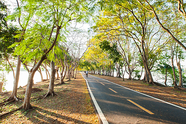 포토 JPG 해외이미지 나무 라이프스타일 공원 도로 스포츠 컨셉 의자 표면 아침 거리 건강 사람 사람없음 야외 목재 초록색 달리기 조깅 태양 일출 정원 검은색 하트 신선 시간 연습 시멘트 칼로리 달리기선수 방법 콘크리트 화상 해외포토 주간 자연요소 모양 식물 공공시설 길 컬러 가구 재료 교통시설 모션 생활 운동 노을 상처 육상선수 파일형식 이미지허브