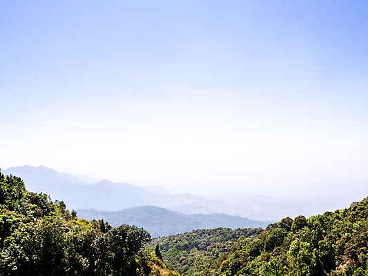포토 JPG 해외이미지 나무 식물 구름 계절 여행 백그라운드 자연 하늘 아침 휴가 산 풍경 사람없음 야외 초록색 여름 빛 햇빛 태양 일출 환경 황혼 일몰 봄 새벽 안개 가을 시골 저녁 숲 땅 즐거움 장면 천국 내추럴 생태학 웅장함 해외포토 주간 자연요소 교육 감정 컬러 날씨 노을 밤 야간 생태계 파일형식 이미지허브