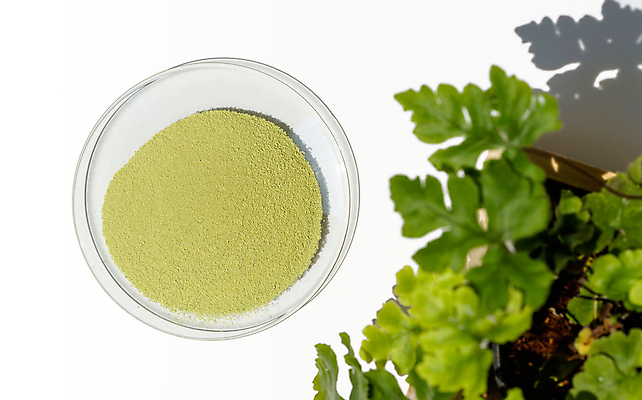 포토 JPG 해외이미지 접시 산업 과학 백그라운드 재료 유리 탁자 건강 실험 안전 사람없음 초록색 뷰티 화장품 흰색 실험실 상품 정상 가루 약국 허브 피부 분석 명상 유기농 유리그릇 테라피 내추럴 고립 돌봄 바이오 실리콘 파스텔톤 화학물질 카피스페이스 해외포토 식물 그릇 식기 웰빙 컬러 가구 컨셉 의학 모션 재질 신체부위 공백 화학 파일형식 이미지허브