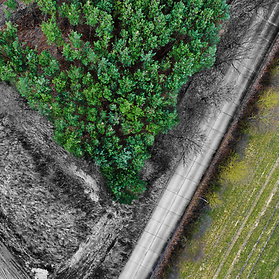 포토 JPG 해외이미지 나무 식물 공원 도로 길 백그라운드 패턴 밭 농업 자연 추상 거리 흑백 안테나 잔디 사람없음 야외 세로 초록색 농작물 농장 농경지 갈색 환경 성장 시골 소나무 정상 숲 땅 질감 내추럴 드론 조감도 해외포토 공공시설 산업 컬러 무늬 통신 교통시설 촬영기법 생태계 파일형식 이미지허브