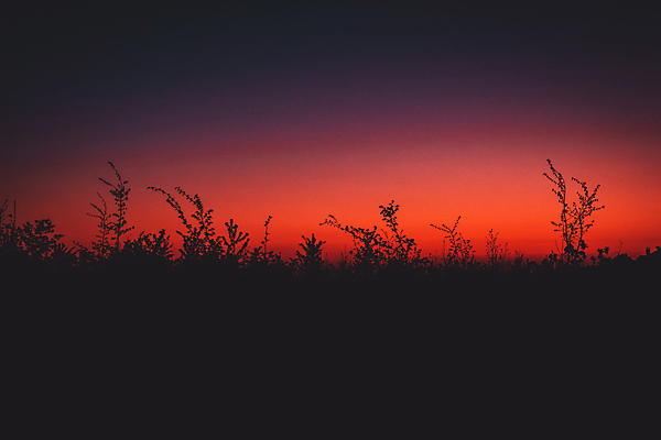 포토 JPG 해외이미지 구름 계절 실루엣 유럽 밭 농업 오렌지 자연 하늘 아침 독일 그림자 풍경 사람없음 야외 빨간색 파란색 빛 컬러풀 태양 어둠 황혼 일몰 봄 새벽 시골 저녁 내추럴 밭일 몽환 수평선 해외포토 주간 자연요소 나라 산업 컬러 컨셉 과일 촬영기법 노을 야간 생태계 파일형식 이미지허브
