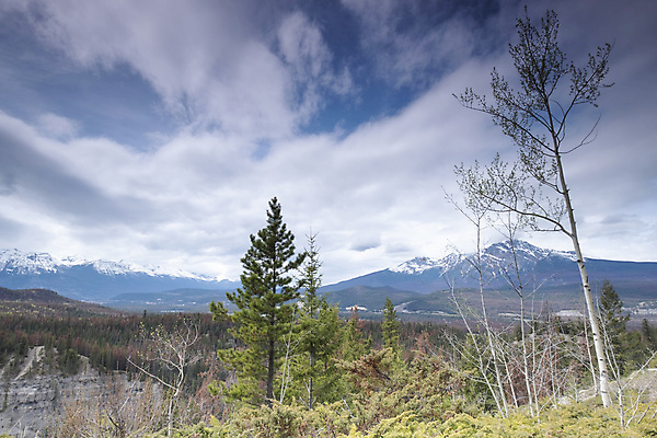 포토 JPG 해외이미지 나무 구름 공원 도로 호수 여행 캐나다 자연 하늘 휴가 영국 산 국립공원 풍경 사람없음 야외 목재 물 여름 파란색 강 반사 하이킹 추위 황무지 숲 빙하 내추럴 밴프 빙원 앨버타 전국 로키산맥 산맥 해외포토 자연요소 식물 계절 공공시설 유럽 길 컬러 북아메리카 재료 교통시설 레저 생태계 파일형식 이미지허브