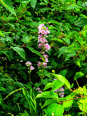 포토 JPG 해외이미지 사람없음 미국 폭포 빙하 사이클링 절정 해외포토 북아메리카 자연 육상스포츠 파일형식 이미지허브