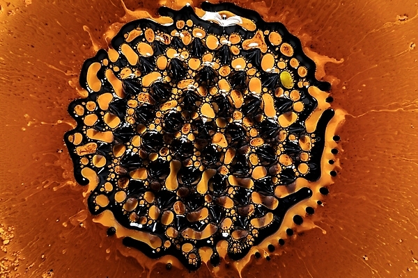 포토 JPG 해외이미지 과학 백그라운드 벽지 추상 건강 실험 미술 사람 사람없음 빛 컬러풀 갈색 노란색 흐름 에너지 바이러스 닫기 퓨전 생물학 마법 박테리아 화학물질 해외포토 교육 컬러 컨셉 무늬 의학 모션 문화예술 화학 파일형식 이미지허브