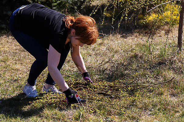 포토 JPG 해외이미지 나무 장갑 잎 한명 쌓기 봄 나뭇가지 작업 티켓 자르기 질서 포니테일 빨간머리 원예사 해외포토 식물 직업 1 헤어스타일 잡화 계절 모션 사람 예절 파일형식 이미지허브