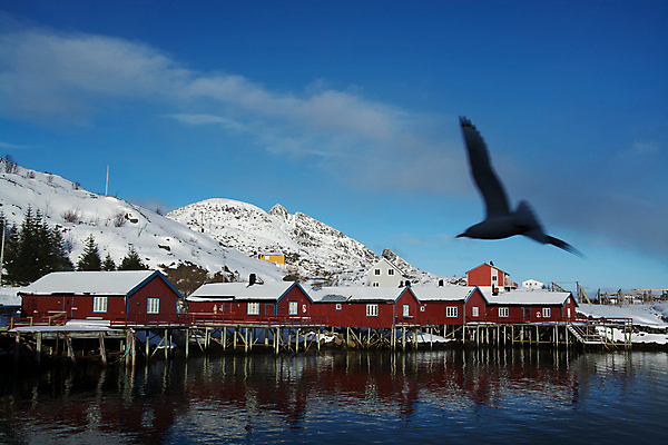 포토 JPG 해외이미지 바다 겨울 자연 주택 노르웨이 사람없음 건물 일몰 대서양 2월 스칸디나비아 해외포토 건축물 계절 유럽 노을 날짜 생태계 파일형식 이미지허브