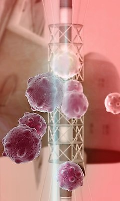 포토 JPG 해외이미지 분홍색 의학 세포 사람없음 3D 질병 디지털합성 암 종양 해외포토 컬러 파일형식 이미지허브