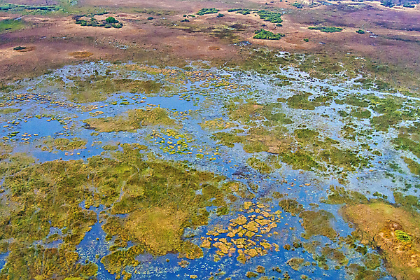 포토 JPG 해외이미지 공원 야생동물 아프리카 자연 휴식 건강 사람없음 초록색 환경 다양 보호 습지 생태계 생물학 서식지 내추럴 무료 보츠와나 보호구역 생태학 해외포토 동물 공공시설 교육 나라 컬러 다수 컨셉 구역 파일형식 이미지허브