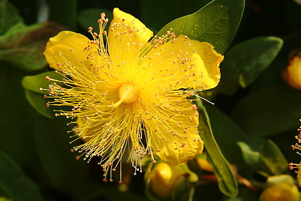 포토 JPG 해외이미지 공원 사람없음 비트 해외포토 공공시설 채소 파일형식 이미지허브