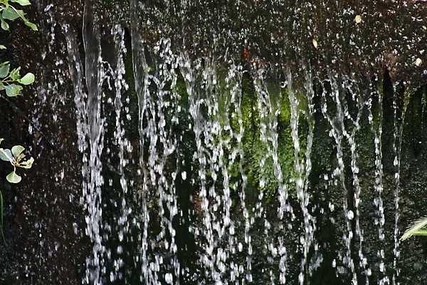 포토 JPG 해외이미지 나무 식물 직업 손 커플 꽃 행복 호수 얼굴 백그라운드 밭 비즈니스 공 가족 자연 놀이 조류 추상 함께함 관리 서기 미소 사람 사람없음 야외 초록색 물 스마트폰 꽃병 폭포 흰색 물방울 잡기 그룹 승차 큼 고립 다음 해외포토 자연요소 동물 감정 컬러 컨셉 무늬 농업 관계 모션 표정 신체부위 핸드폰 스마트기기 크기 생태계 파일형식 이미지허브