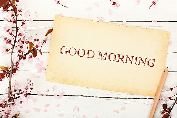 포토 JPG 해외이미지 계절 꽃잎 꽃 종이 컨셉 아침 날씨 사람없음 목재 단어 새싹 쪽지 고요 봄 벚꽃 흰색 나뭇가지 인사 최고 개화 메시지 4월 5월 순수 페이지 시트 안녕 옛날 해외포토 주간 나무 식물 문자 컬러 재료 예절 날짜 파일형식 이미지허브