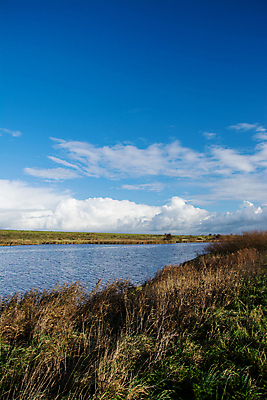 포토 JPG 해외이미지 자연 독일 풍경 사람없음 건물 가을 보호 10월 해외포토 건축물 계절 유럽 컨셉 날짜 생태계 파일형식 이미지허브
