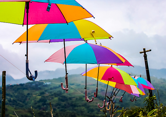 포토 JPG 해외이미지 식물 손 밧줄 여행 백그라운드 컨셉 무지개 패턴 우산 자연 하늘 날씨 휴가 산 거리 매달리기 미술 동양인 사람없음 야외 장식 빛 컬러풀 유행 세일 마을 정원 기둥 실 보호 호루라기 양산 기념품 가림막 강렬 해외포토 자연요소 건축 줄 컬러 무늬 모션 문화예술 인종 신체부위 오브젝트 생태계 파일형식 이미지허브