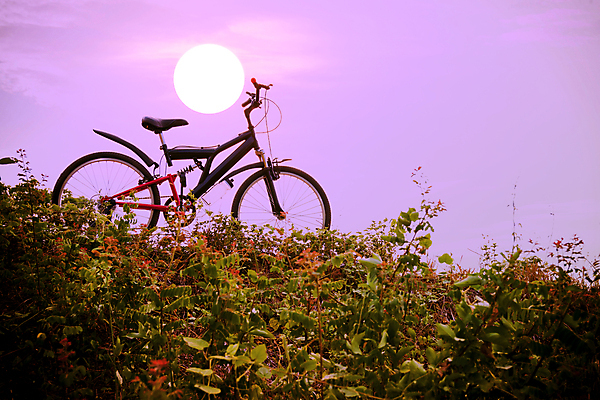 포토 JPG 해외이미지 직업 라이프스타일 계절 공원 실루엣 도로 스포츠 여행 포즈 백그라운드 의자 오렌지 교통시설 자연 하늘 휴식 산 건강 손잡이 사람없음 야외 빨간색 햇빛 노란색 일출 자전거 일몰 새벽 바퀴 야간 숲 안장 해외포토 자연요소 공공시설 길 컬러 가구 교통 컨셉 과일 촬영기법 생활 태양 노을 바이크 시설 생태계 파일형식 이미지허브