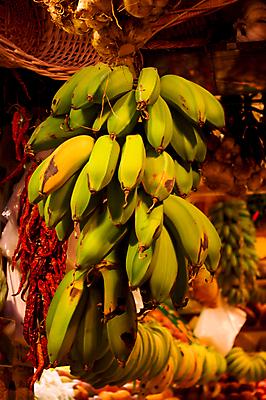 포토 JPG 해외이미지 음식 여행 과일 자연 바나나 매달리기 건강 서기 사람없음 빨간색 초록색 컬러풀 노란색 정원 수확 신선 스페인 시장 달콤 맛 다발 배열 먹기 무역 상쾌 상업 내추럴 강렬 해외포토 감정 유럽 산업 컬러 컨셉 농업 모션 생태계 파일형식 이미지허브