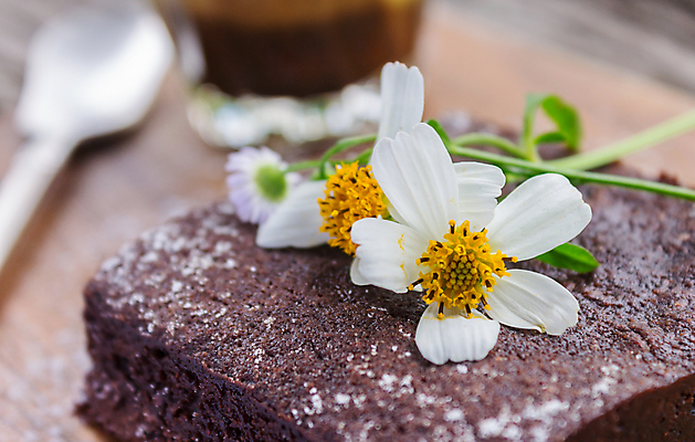 포토 JPG 해외이미지 나무 꽃 커피 음식 자연 디저트 도마 사탕 사람없음 목재 케이크 식당 초콜릿 어둠 카페 빵집 신선 굽기 에스프레소 코코아 내추럴 라떼 브라우니 카카오 해외포토 식물 음료 재료 주방용품 상점 구이 생태계 파일형식 이미지허브