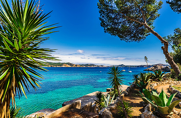포토 JPG 해외이미지 나무 식물 유럽 바다 섬 여행 요트 건축양식 자연 하늘 리조트 휴가 휴식 풍경 사람없음 야외 물 여름 파란색 관광지 야자수 태양 여행객 만 스페인 지중해 언덕 남쪽 스페인어 열대기후 해외포토 자연요소 계절 건축 나라 컬러 컨셉 배_교통 사람 방향 생태계 파일형식 이미지허브