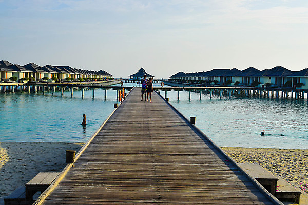 포토 JPG 해외이미지 나무 식물 모래 바다 섬 여행 백그라운드 자연 하늘 휴가 휴식 손바닥 그림자 풍경 사람없음 물 여름 파란색 햇빛 태양 맑음 침묵 시골 휴양지 코코넛 천국 석호 몰디브 이국적 터키석 파라다이스 해외포토 자연요소 손 계절 아시아 컬러 컨셉 과일 날씨 소리 장소 보석 생태계 파일형식 이미지허브
