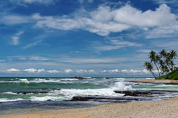 포토 JPG 해외이미지 나무 구름 아시아 모래 파도 바다 여행 자연 하늘 휴가 휴식 손바닥 풍경 사람없음 야외 초록색 물 여름 파란색 모래사장 햇빛 태양 맑음 침묵 흰색 만 뜨거움 서핑 휴양지 분무기 코코넛 내추럴 스리랑카 파라다이스 해외포토 자연요소 식물 손 계절 나라 컬러 컨셉 과일 날씨 소리 장소 수상스포츠 생태계 파일형식 이미지허브