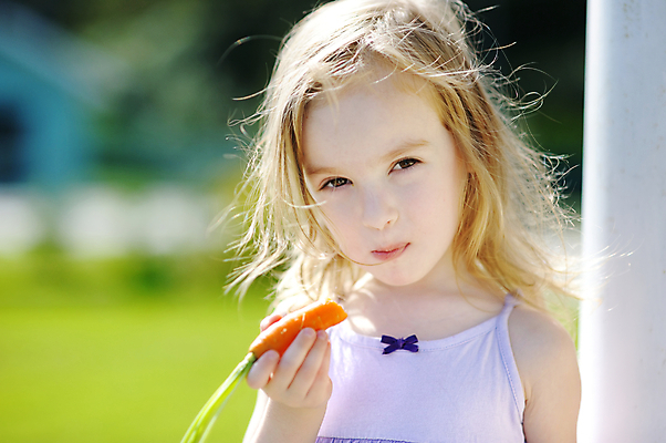 포토 JPG 해외이미지 식물 백인 손 계절 행복 얼굴 어린이 음식 잎 채소 자연 건강 한명 사람 야외 빨간색 초록색 태양 농장 환경 정원 당근 기쁨 수확 신선 잡기 선택 달콤 작음 수집 먹기 원예 내추럴 핸드메이드 해외포토 자연요소 서양인 1 감정 컬러 컨셉 농업 모션 뿌리채소 취미 신체부위 맛 크기 생태계 파일형식 이미지허브