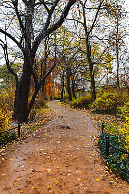 포토 JPG 해외이미지 계절 유럽 길 잎 곡선 오렌지 자연 풍경 사람없음 컬러풀 맑음 산책 활발 슬픔 시골 도시 황금 오솔길 조경 일반 굴곡 방법 해외포토 식물 감정 나라 선 컬러 컨셉 과일 날씨 휴식 생태계 파일형식 이미지허브