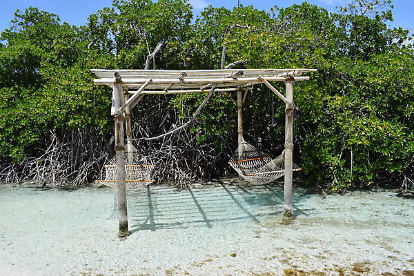 포토 JPG 해외이미지 나무 모래 바다 섬 여행 자연 하늘 휴가 손바닥 풍경 사람없음 야외 물 여름 파란색 야자수 맑음 흰색 휴양지 코코넛 카리브해 이국적 파라다이스 수평선 해외포토 자연요소 식물 손 계절 컬러 과일 날씨 장소 생태계 파일형식 이미지허브