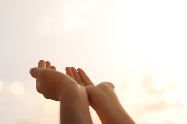 포토 JPG 해외이미지 손 하늘 야외 신체부위 일몰 야간 손모으기 해외포토 자연요소 사람 손짓 노을 파일형식 이미지허브