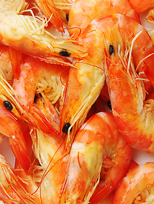 포토 JPG 해외이미지 접시 음식 조각 백그라운드 채소 오렌지 재료 조개 새우 건강 어류 사람없음 빨간색 노란색 식당 식사 저녁식사 흰색 신선 시장 맛 먹기 해산물 꼬리 날카로움 해외포토 식기 컬러 컨셉 과일 모션 어패류 갑각류 상점 수중동물 파일형식 이미지허브