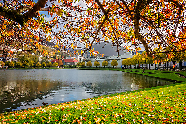 포토 JPG 해외이미지 나무 계절 공원 호수 잎 오렌지 건축양식 주택 노르웨이 사람 풍경 사람없음 야외 건물 물 컬러풀 우주 정원 맑음 기쁨 가을 도시 분위기 고독 떨어짐 9월 타운 일반 8월 10월 교외 스칸디나비아 해외포토 자연요소 식물 건축물 공공시설 건축 감정 유럽 컬러 컨셉 과일 날씨 날짜 파일형식 이미지허브