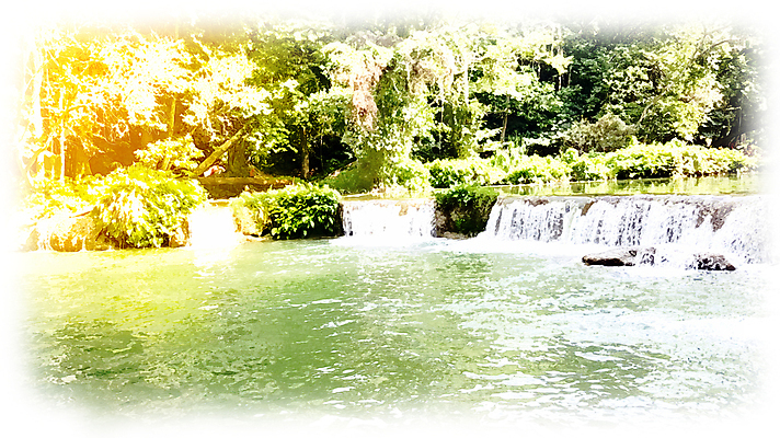 포토 JPG 해외이미지 나무 유럽 여행 백그라운드 잎 모션 자연 휴가 산 사람없음 야외 초록색 물 파란색 빛 강 태양 뷰티 봄 폭포 흐름 우유 신선 개울 달콤 숲 속도 암초 북쪽 내추럴 블러 해외포토 자연요소 식물 계절 나라 컬러 컨셉 유제품 맛 방향 생태계 파일형식 이미지허브