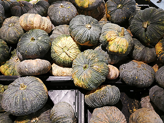 포토 JPG 해외이미지 식물 계절 음식 백그라운드 농업 채소 과일 자연 호박 선반 건강 요리 사람없음 장식 초록색 여름 노란색 쌓기 상점 축제 할로윈 수확 가을 신선 시장 심볼 유기농 날것 박 스쿼시 10월 내추럴 숙성 많음 해외포토 웰빙 산업 스포츠 컬러 가구 컨셉 모션 구기 날짜 생태계 파일형식 이미지허브