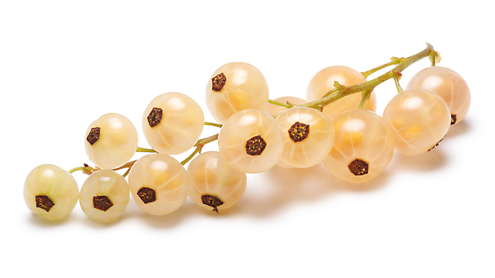 포토 JPG 해외이미지 디자인 열매 음식 사람없음 흰색 달콤 작음 다발 건포도 고립 해외포토 식물 컬러 포도 맛 크기 건과일 파일형식 이미지허브