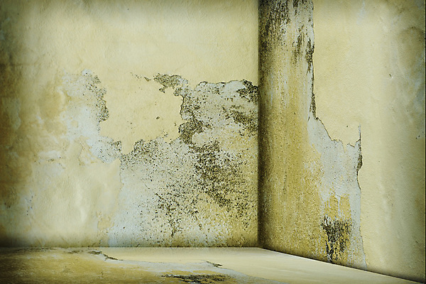 포토 JPG 해외이미지 벽 백그라운드 건축양식 텍스트 바닥 사람없음 내부 빨간색 3D 우주 공백 방 회색 기록 감옥 오해 지하실 콘크리트 해외포토 건축 컬러 디지털합성 파일형식 이미지허브