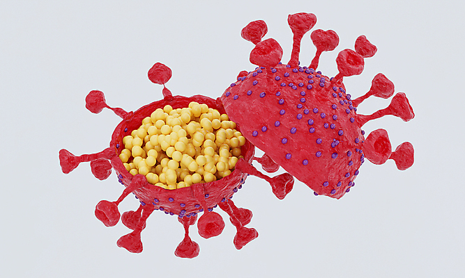 포토 JPG 해외이미지 모델 분홍색 과학 컨셉 해부 표면 검은배경 추상 생물 세포 실내 건강 사람없음 약 3D 건강관리 열 원형 바이러스 질병 위험 자르기 유기농 생물학 만들기 감염 미생물 테라피 박테리아 단백질 에이즈 여의주 유전 인플루엔자 해외포토 도형 웰빙 교육 컬러 백그라운드 무늬 의학 모션 관리 내부 뷰티 검은색 디지털합성 영양소 파일형식 이미지허브