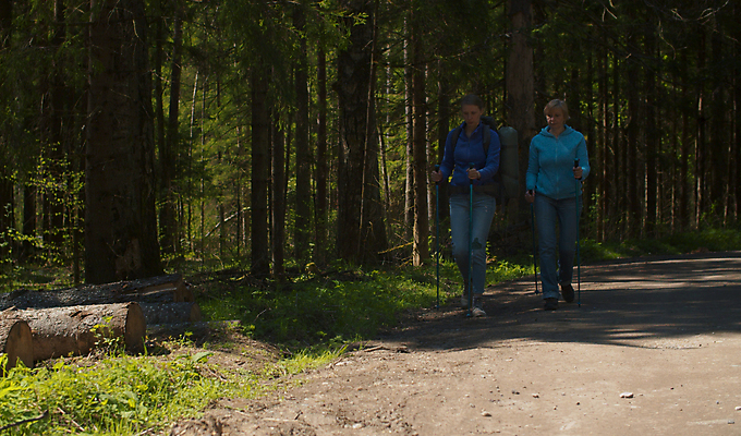 포토 JPG 해외이미지 나무 백인 라이프스타일 여자 중년 여행 배낭 청소년 자연 휴가 건강 풍경 야외 두명 여름 태양 여행객 걷기 환경 맑음 트래킹 하이킹 자유 소나무 숲 침엽수 전나무 하이커 가문비나무 해외포토 자연요소 서양인 식물 계절 컨셉 가방 모션 레저 날씨 사람 성인 생활 생태계 파일형식 이미지허브