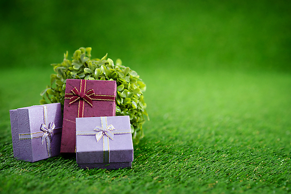 포토 JPG 해외이미지 나무 디자인 기념일 리본 종이 백그라운드 잎 크리스마스 밭 휴가 새로움 아이디어 발렌타인데이 선물 사랑 미술 잔디 사람없음 장식 빨간색 초록색 빛 상자 맑음 보라색 축제 놀람 흰색 축하 생일 연도 오브젝트 활 감사 가치 수공예 소통 뒤뜰 엘리먼트 특별함 해외포토 식물 감정 컬러 컨셉 농업 데이이벤트 날씨 문화예술 표정 이벤트 공예 파일형식 이미지허브