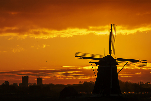 포토 JPG 해외이미지 구름 전통 실루엣 유럽 여행 백그라운드 오렌지 비즈니스 건축양식 자연 하늘 바람 안테나 풍경 사람없음 건물 물 파란색 태양 일출 환경 탑 힘 일몰 풍차 시골 도시 네덜란드 스카이라인 방앗간 옛날 철강 해외포토 자연요소 건축물 건축 나라 컬러 과일 통신 날씨 촬영기법 노을 생태계 파일형식 이미지허브