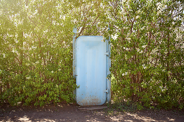 포토 JPG 해외이미지 꽃 컨셉 밭 자연 벽지 잔디 사람없음 장식 초록색 빛 환경 활발 성장 신선 칼날 보호 이슬 보케 정중 해외포토 식물 컬러 농업 생태계 파일형식 이미지허브