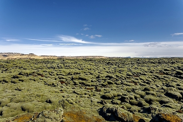 포토 JPG 해외이미지 식물 유럽 여행 밭 자연 하늘 표면 산 아이슬란드 이끼 풍경 사람없음 야외 초록색 물 여름 파란색 여행객 계곡 흐름 바위 황무지 숲 언덕 질감 빙하 화산 용암 내추럴 땅바닥 생태학 전국 해외포토 자연요소 계절 교육 나라 컬러 컨셉 농업 바닥 사람 돌_바위 생태계 파일형식 이미지허브