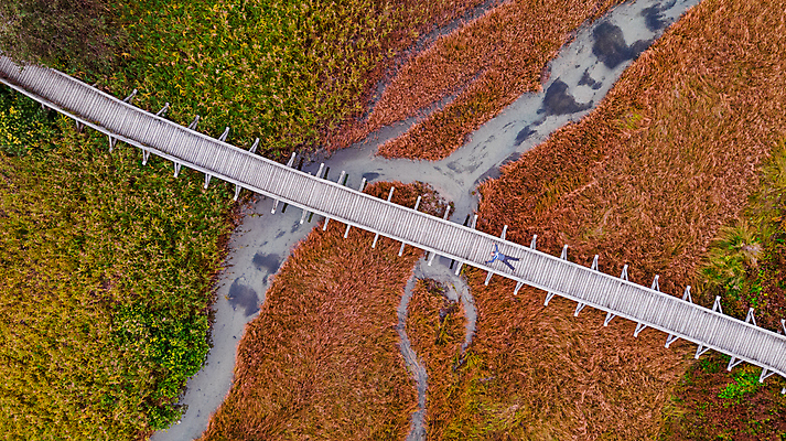 포토 JPG 해외이미지 식물 계절 유럽 지구 여행 백그라운드 잎 꽃무늬 패턴 곡선 오렌지 자연 벽지 추상 안테나 미술 사람없음 야외 목재 물 강 컬러풀 뷰티 환경 정상 숲 호기심 질감 발견 내추럴 구성 드론 생태학 조감도 터키석 해외포토 자연요소 나무 교육 꽃 감정 나라 선 컬러 컨셉 무늬 과일 재료 통신 문화예술 보석 생태계 파일형식 이미지허브