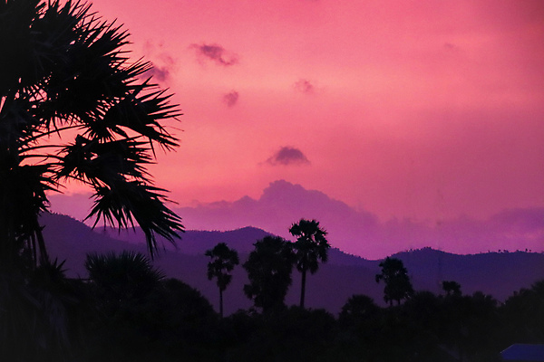 포토 JPG 해외이미지 실루엣 분홍색 여행 백그라운드 자연 날씨 손바닥 사람없음 야외 가로 컬러풀 평화 보라색 어둠 황혼 일몰 새벽 공백 기쁨 저녁 장면 캄보디아 천국 스카이라인 내추럴 수평선 카피스페이스 해외포토 자연요소 손 감정 아시아 컬러 컨셉 촬영기법 노을 야간 생태계 파일형식 이미지허브
