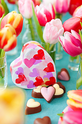 포토 JPG 해외이미지 꽃 사람없음 초콜릿 튤립 하트 소프트포커스 파란배경 해외포토 모양 식물 백그라운드 디저트 촬영기법 파란색 파일형식 이미지허브