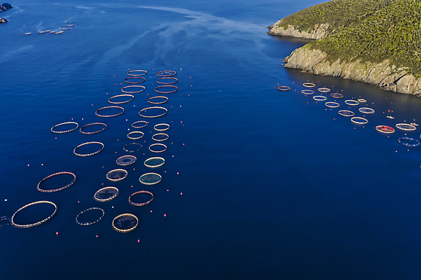 포토 JPG 해외이미지 식물 유럽 산업 음식 파도 바다 농업 비즈니스 자연 낚시 안테나 어류 사람없음 물 파란색 농장 환경 성장 신선 잡기 만 원형 그물 해산물 그리스 상업 연어 새장 어장 망사 내추럴 개발 드론 밭일 수경재배 해외포토 자연요소 도형 나라 컬러 통신 모션 레저 수중동물 직물 생태계 케이지 파일형식 이미지허브