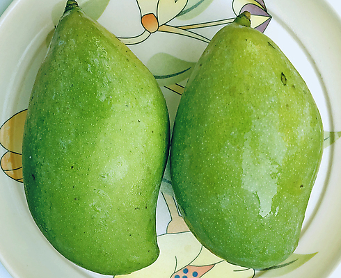 포토 JPG 해외이미지 접시 계절 음식 백그라운드 다이어트 과일 재료 자연 디저트 건강 요리 사람없음 초록색 세일 봄 흰색 신선 사발 시장 달콤 배열 유기농 날것 망고 아보카도 내추럴 고립 비타민C 숙성 채식주의자 세련 비건 해외포토 식기 웰빙 컬러 사기그릇 맛 열대과일 생태계 채식 비타민 파일형식 이미지허브