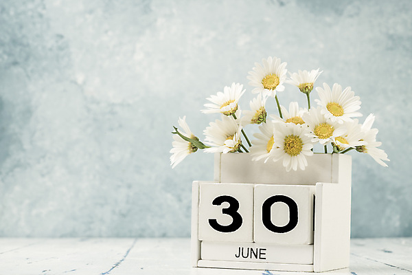 포토 JPG 해외이미지 식물 템플릿 계절 꽃 꽃다발 백그라운드 컨셉 탁자 사람없음 목재 숫자 노란색 다이어리 블록 수확 달력 흰색 시간 날짜 계획 6월 연도 큐브 오브젝트 질감 복고 데이지 내추럴 월 옛날 오늘 조언 카피스페이스 해외포토 나무 문자 컬러 가구 농업 재료 사무용품 공백 파일형식 이미지허브