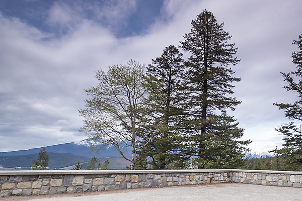 포토 JPG 해외이미지 나무 구름 공원 도로 호수 여행 캐나다 자연 하늘 휴가 영국 산 국립공원 풍경 사람없음 야외 목재 물 여름 파란색 강 반사 하이킹 추위 황무지 숲 빙하 내추럴 밴프 빙원 앨버타 전국 로키산맥 산맥 해외포토 자연요소 식물 계절 공공시설 유럽 길 컬러 북아메리카 재료 교통시설 레저 생태계 파일형식 이미지허브